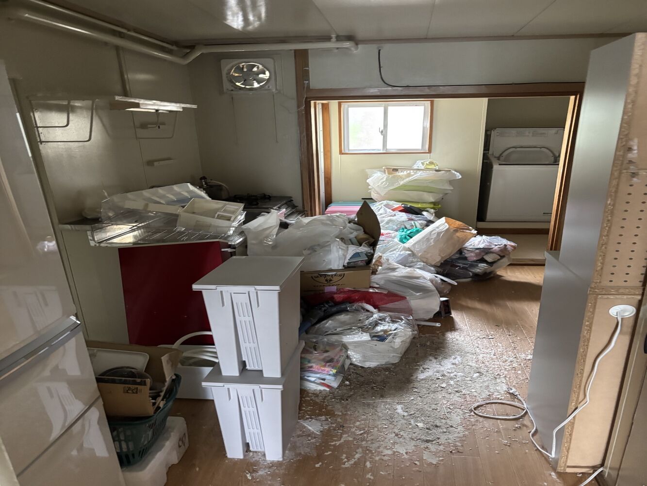 画像11191