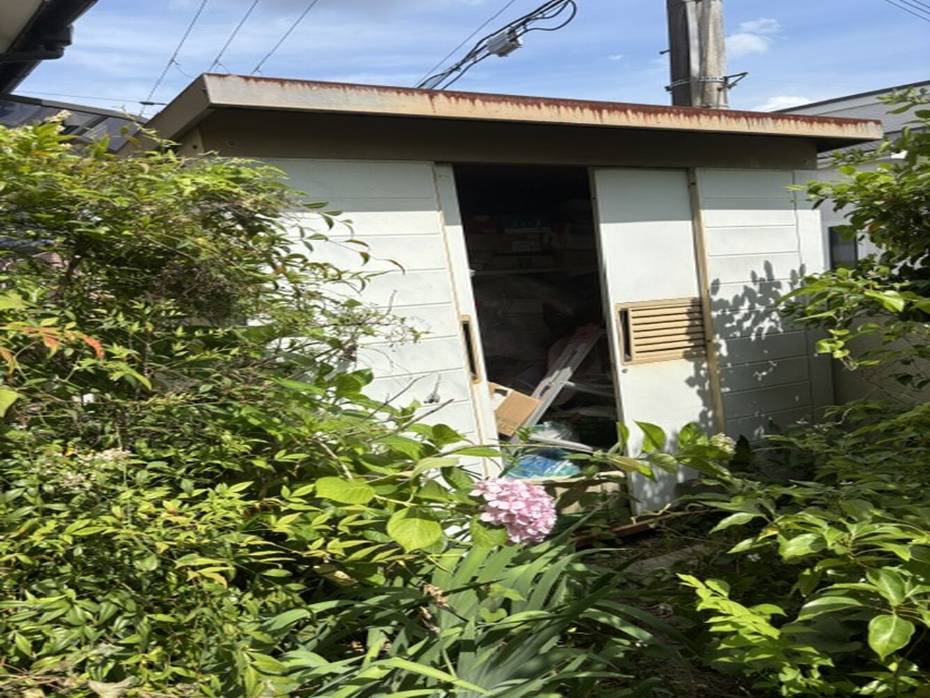 画像17282
