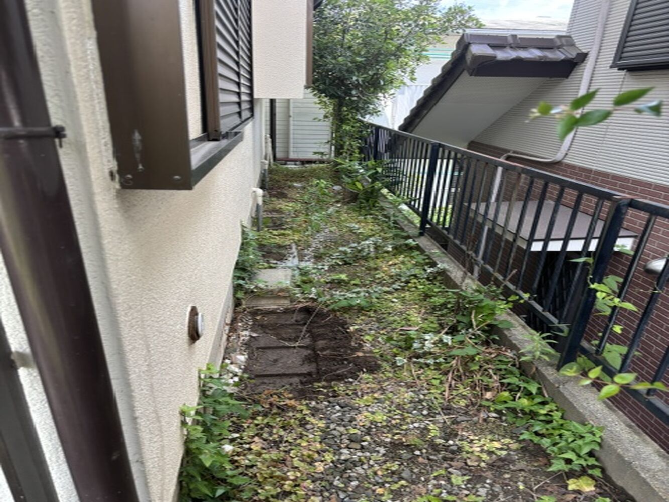画像17308