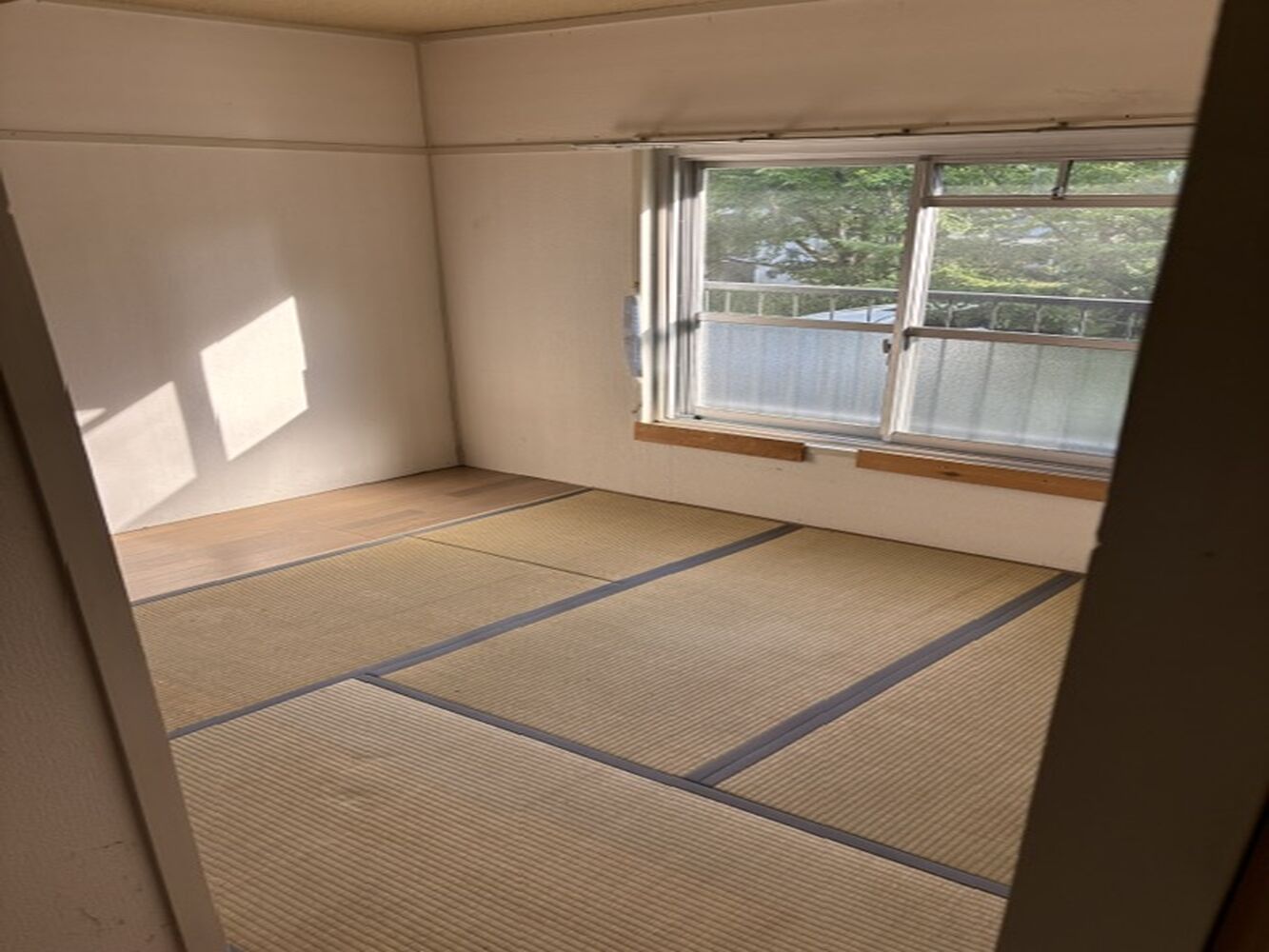 画像17953